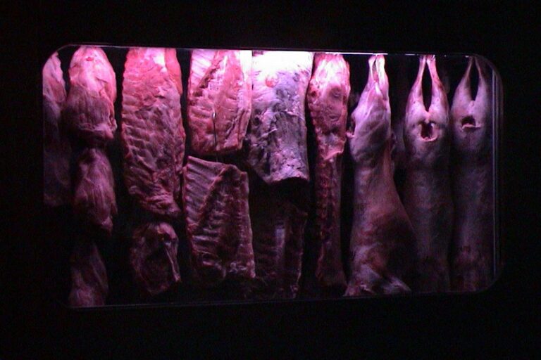 2004 meat_01
